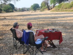 Bush Breakfast Safari