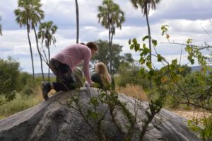 Birdwatching in & Ruaha National Park